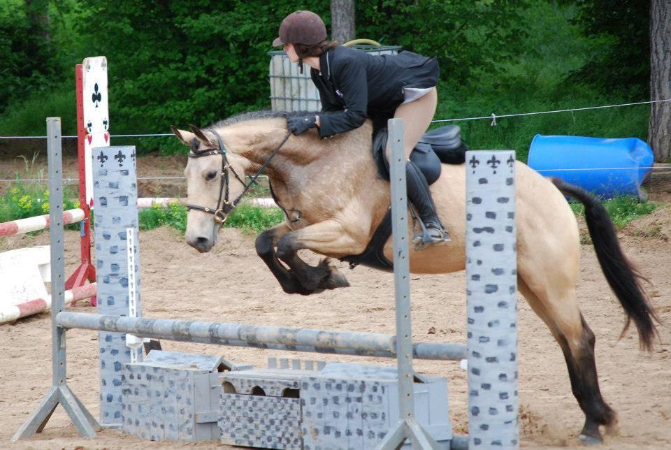 Cavalière