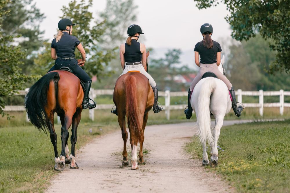 Promenades à cheval à Villefranche sur Saône