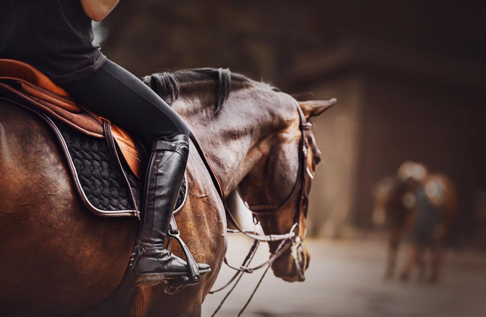 Cours d'équitation à Villefranche sur Saône