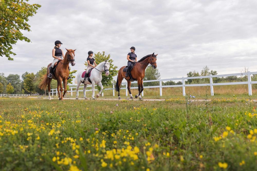 Cavaliers en promenade