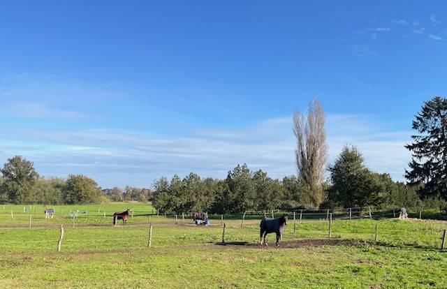 Paddocks