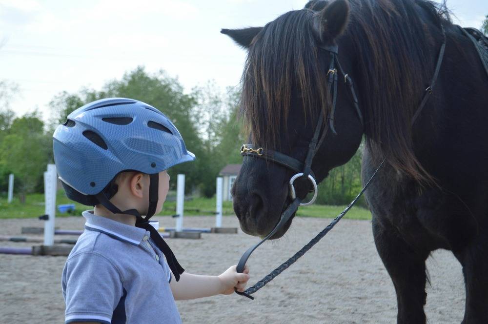 Stage Galop 1-2
