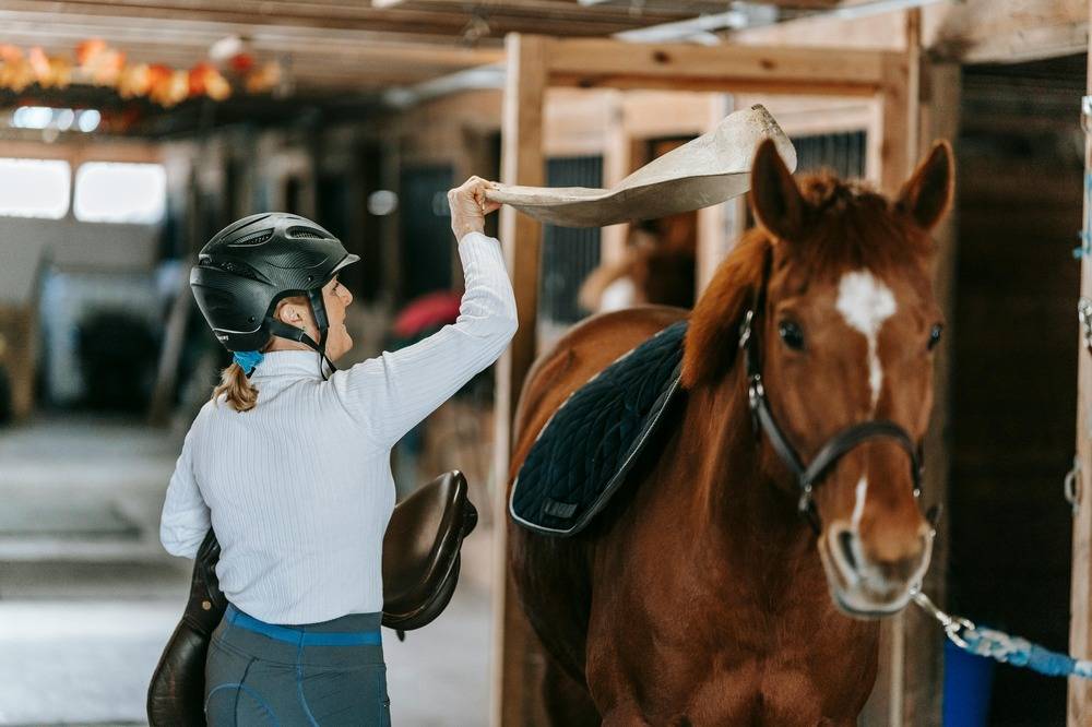 Stage Cross Galop 5 et +