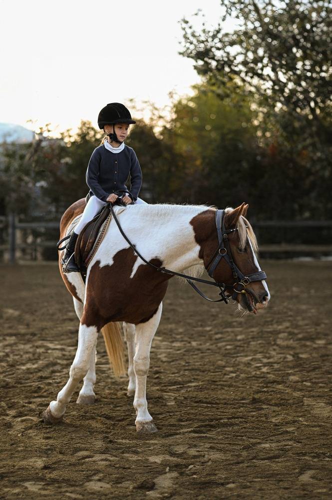 Stage Galop 2-3